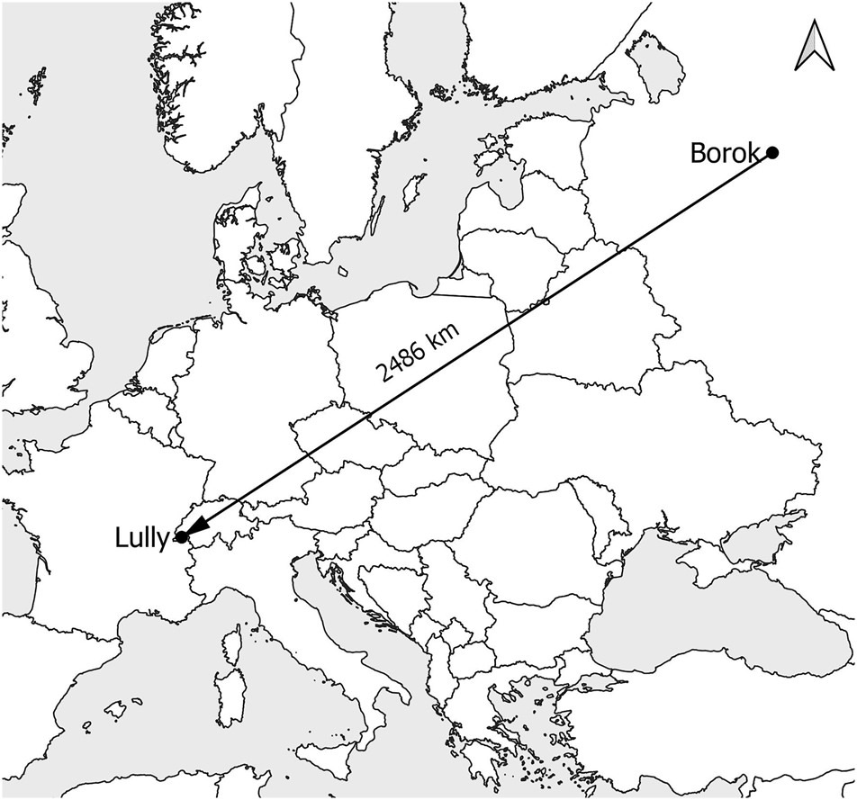 Chauve-souris (Pipistrelle de Nathusus), migration entre Borok (Russie) & Lully (France).