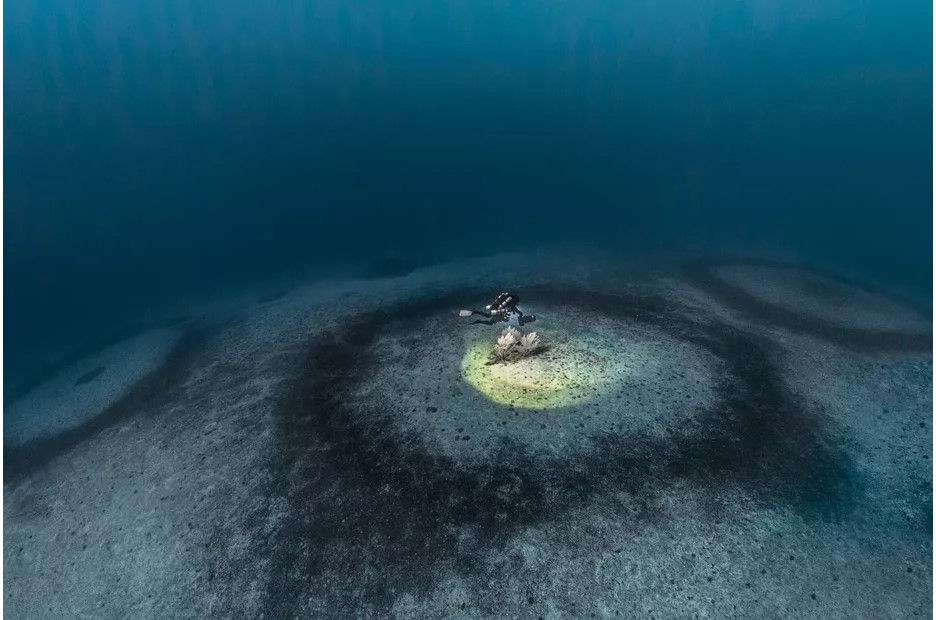 Colonnie de 1 000 anneaux de corail