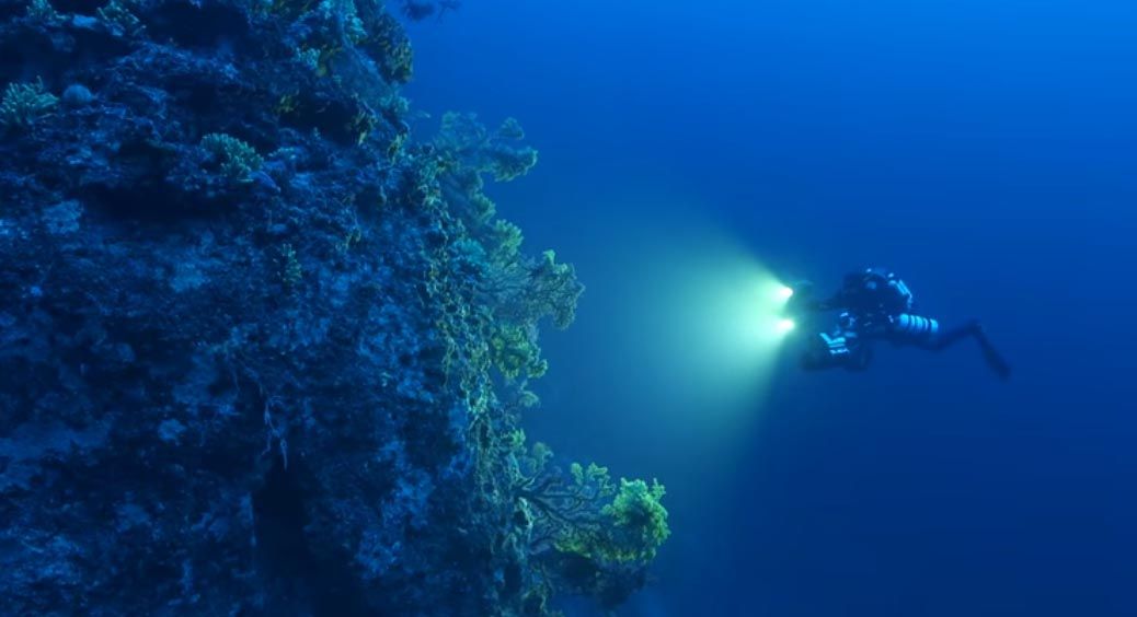 Colonnie de 1 000 anneaux de corail