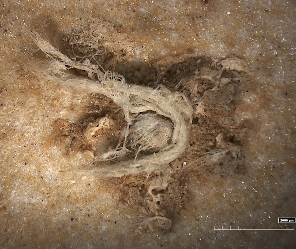 Fragment de corde vieux de 39 000 à 50 000 ans.