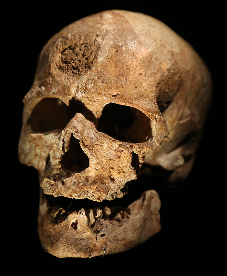 Crâne de Cro-Magnon