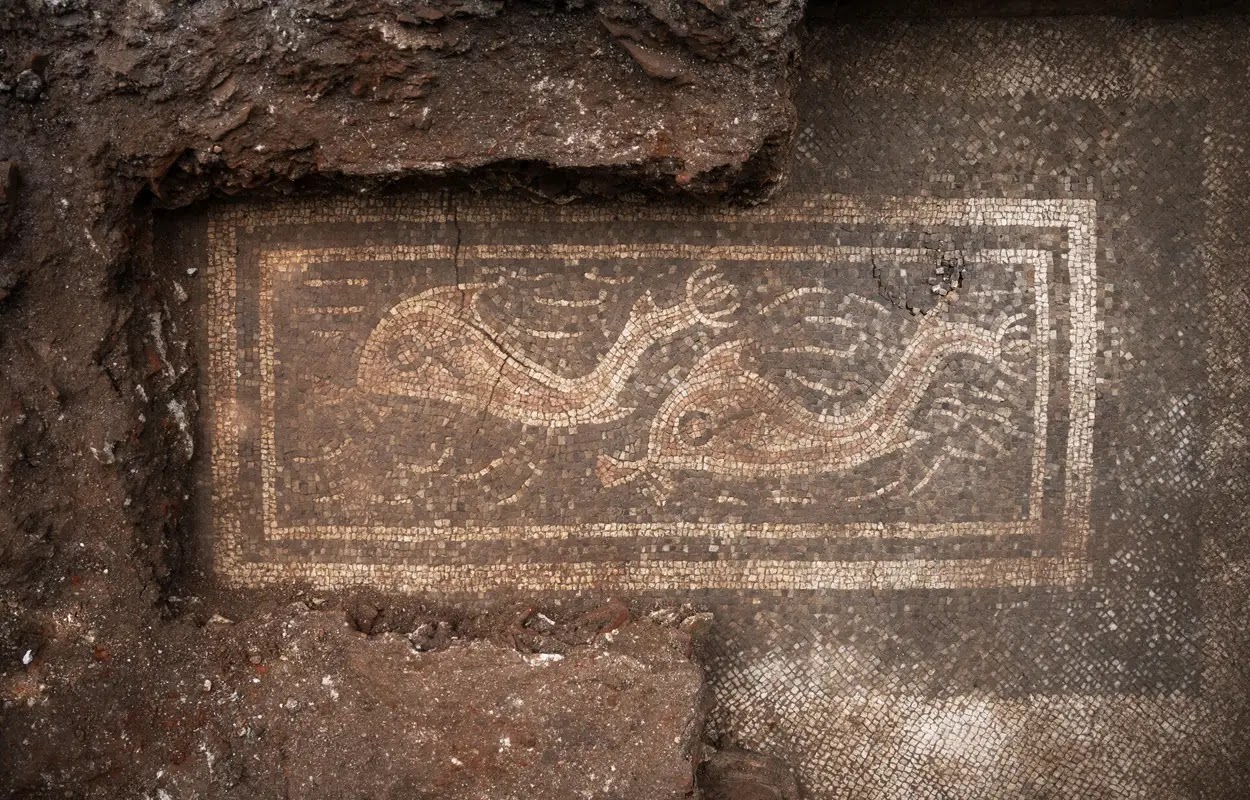 Mosaïque de dauphins en Autriche, il y a 800 ans.