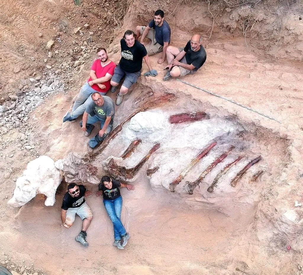 Dinosaure de la famille des brachiosaures, à Tombal au Portugal.