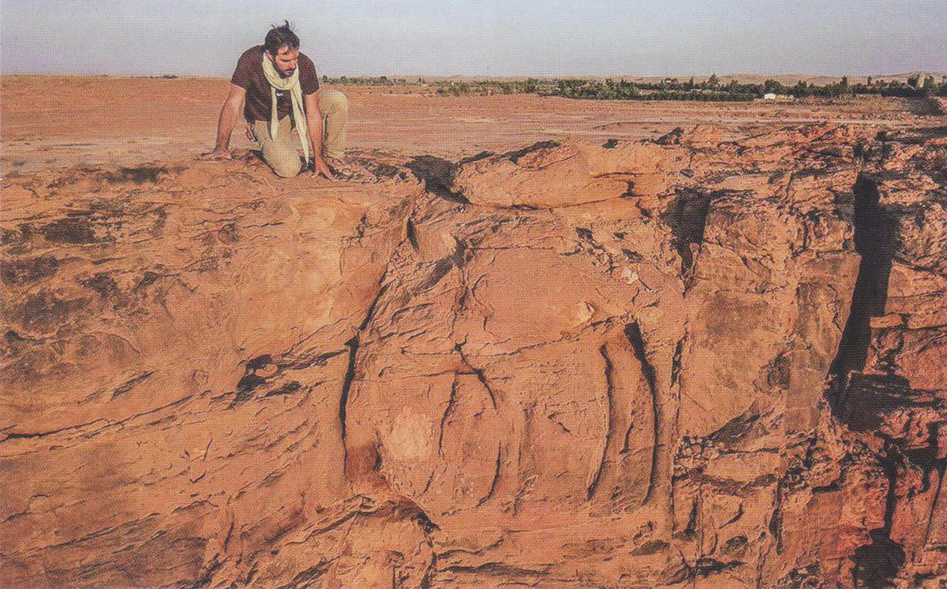 Dromadaires taillés en taille réelle, sur une paroi en grès, à Camel Site en Arabie Saoudite.