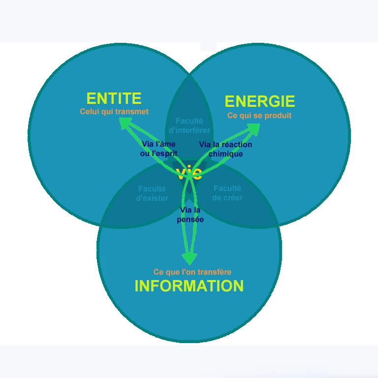 EIE: Entité-Information-Energie