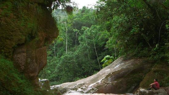 Sculpture El Rosto (visage indien) dans la forêt amazonienne, au Pérou.