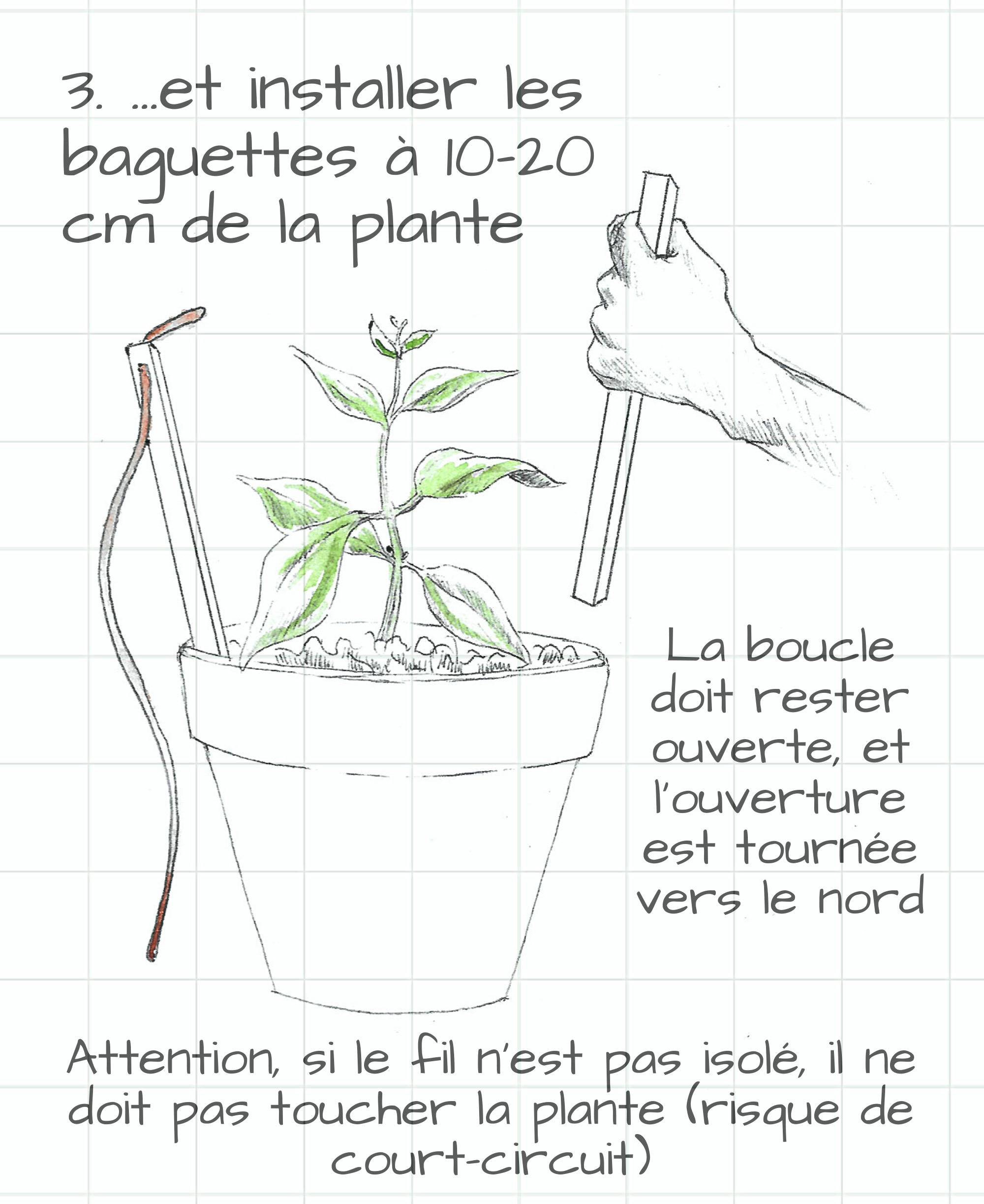 Electroculture : Boucle de Lakhovsky, étape 3 par Aurélien Culat.