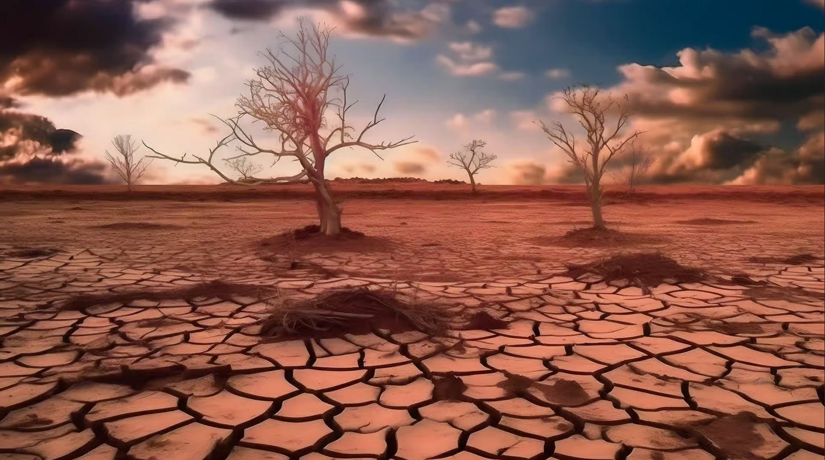 Extinction massive il y a 930 000 ans.