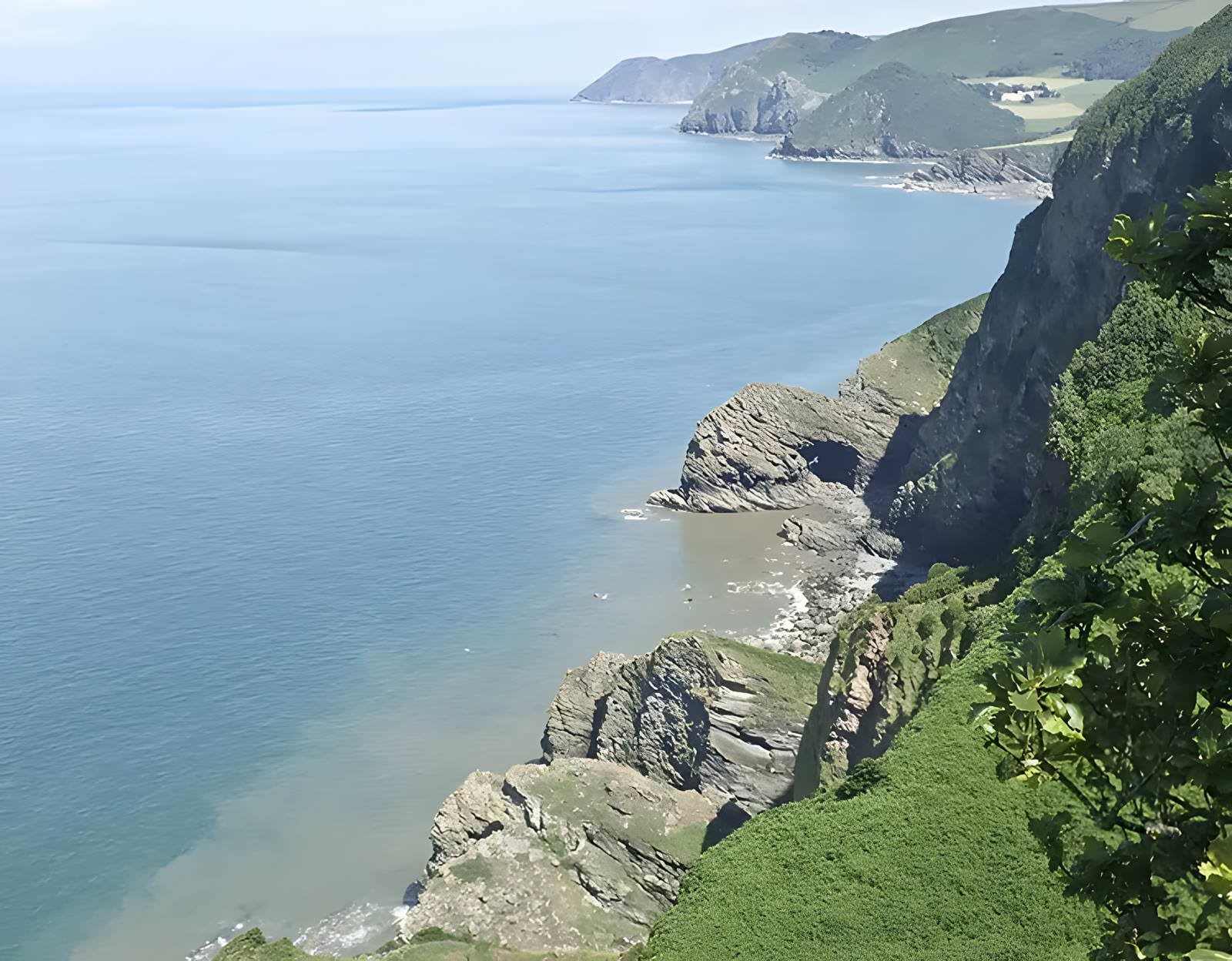 Forêt fossile ou forêt pétrifiée des falaises de Hangman près de Devon en Angleterre, il y a 390 millions d'années.