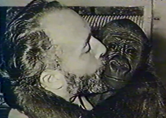 Jacques Bouillault