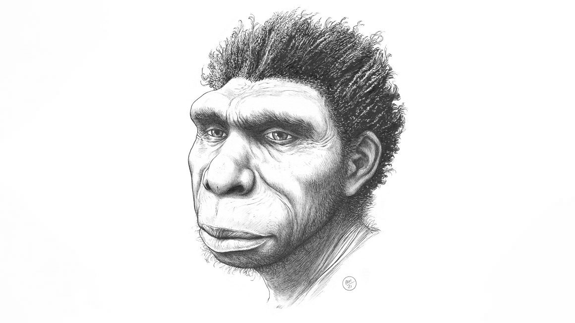 Portrait de l'homo bodoensis (en noir & blanc)