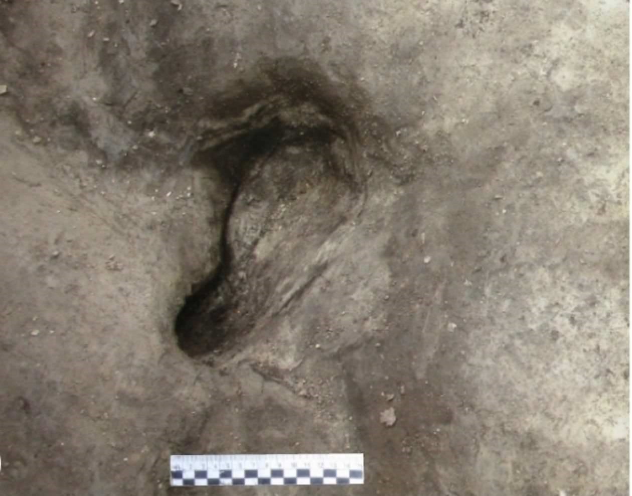 Empreintes de pas d'Homo heidelbergensis