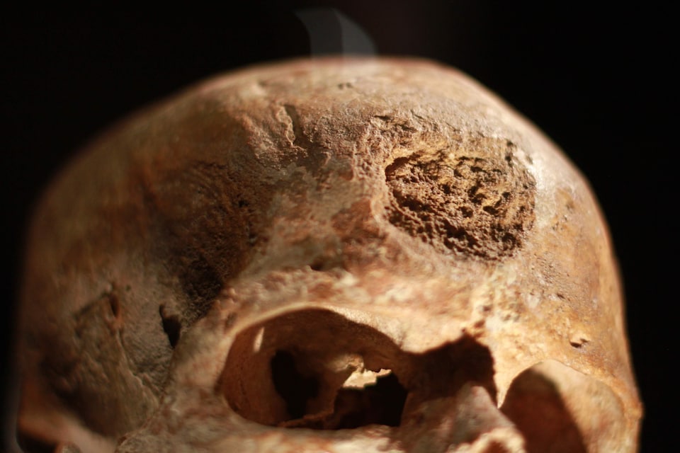 Crâne de Cro-Magnon