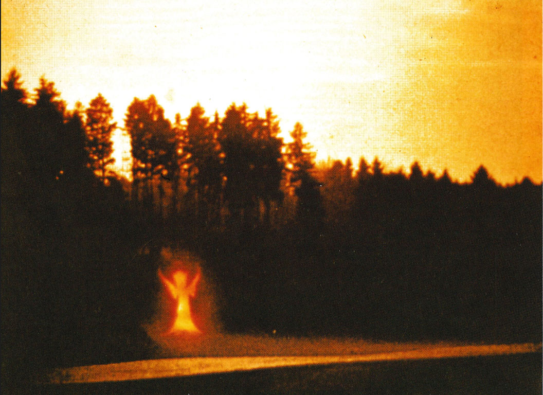 Humanoïde ailé, pilote d'un ufo (ovni) ovoïde.
