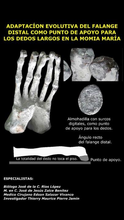 Humanoïde Maria et ses empreintes digitales.