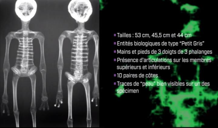 Humanoïde de petite taille muni de trois doigts, aux mains & aux pieds, et 44cm à 53cm de haut.