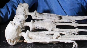 Humanoïde de petite taille muni de trois doigts, aux mains & aux pieds, et 44cm à 53cm de haut.