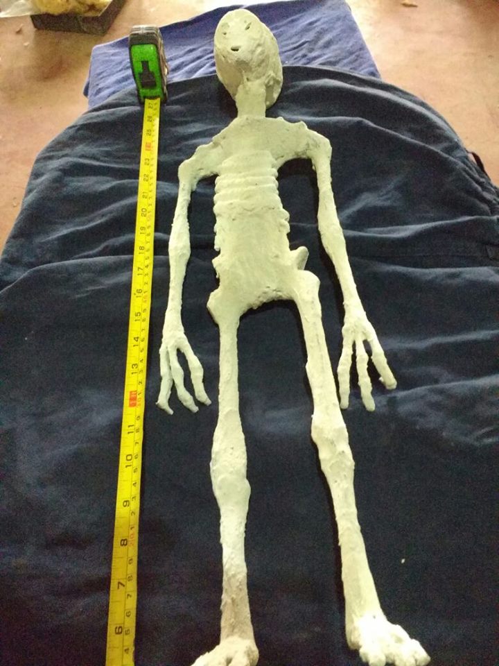 Humanoïde de taille 60cm.