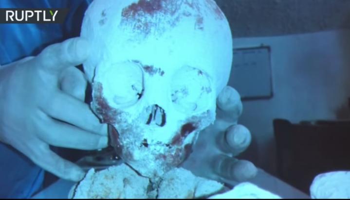 Humanoïde Wawita, un bébé tridactyle.