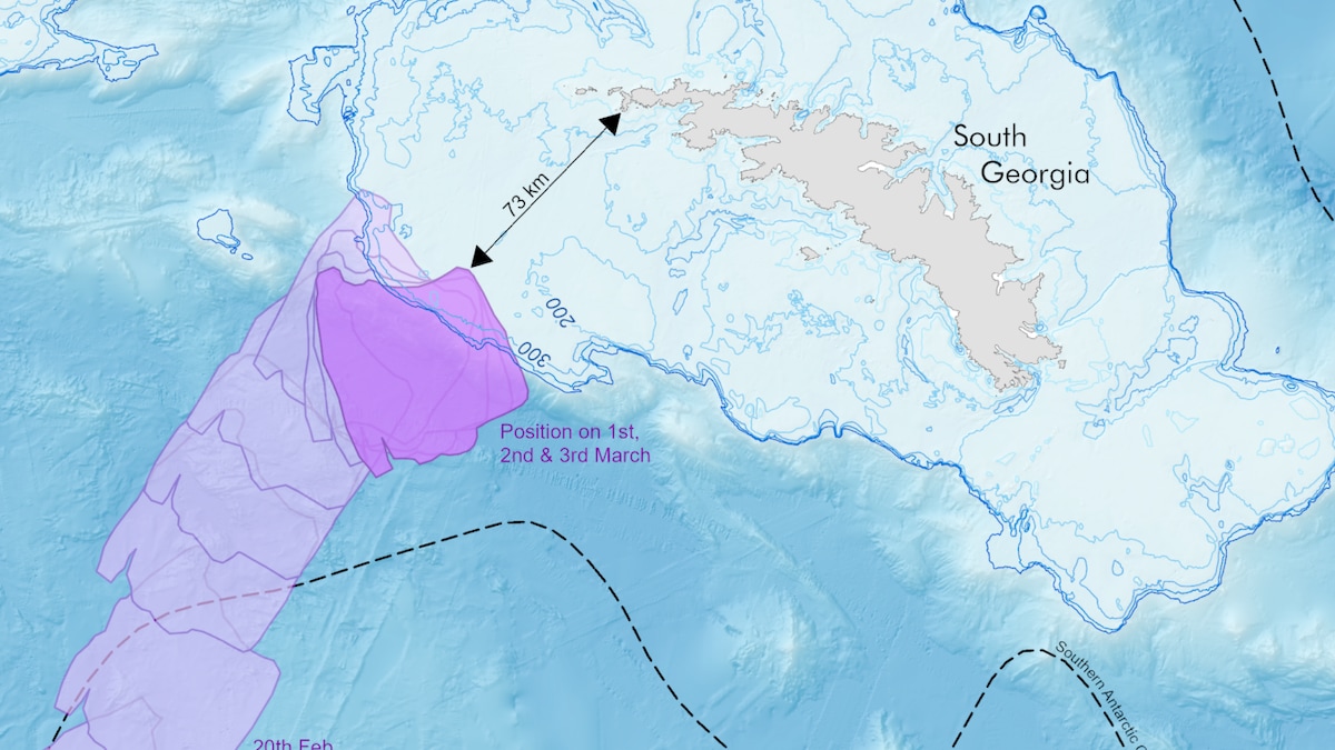 Trajectoire de l'iceberg A23a entre le 17 janvier et le 1<sup>er</sup> mars 2025.