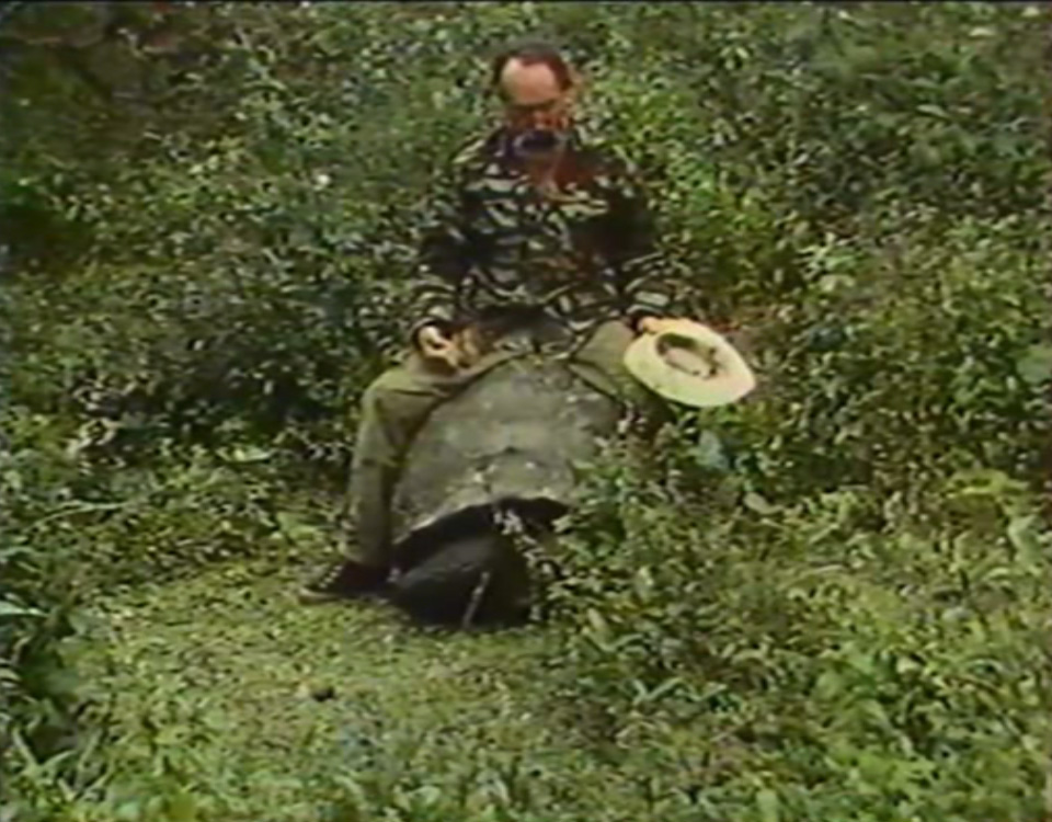 Jacques Bouillault