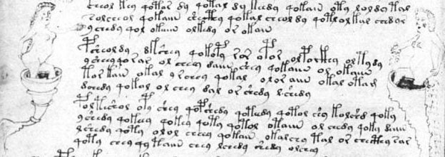 Page 80 (pharmacologie) du manuscrit de Voynich.