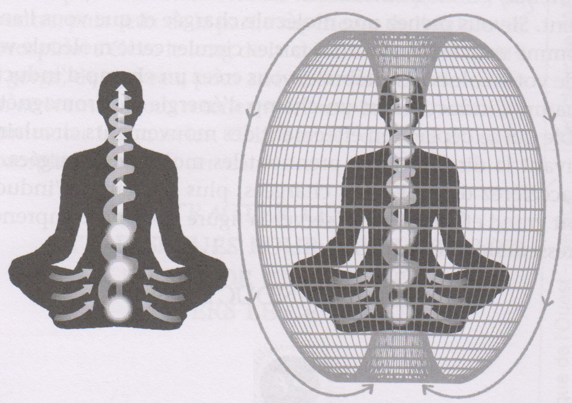 Méditation: champ d'induction & champ électromagnétique.