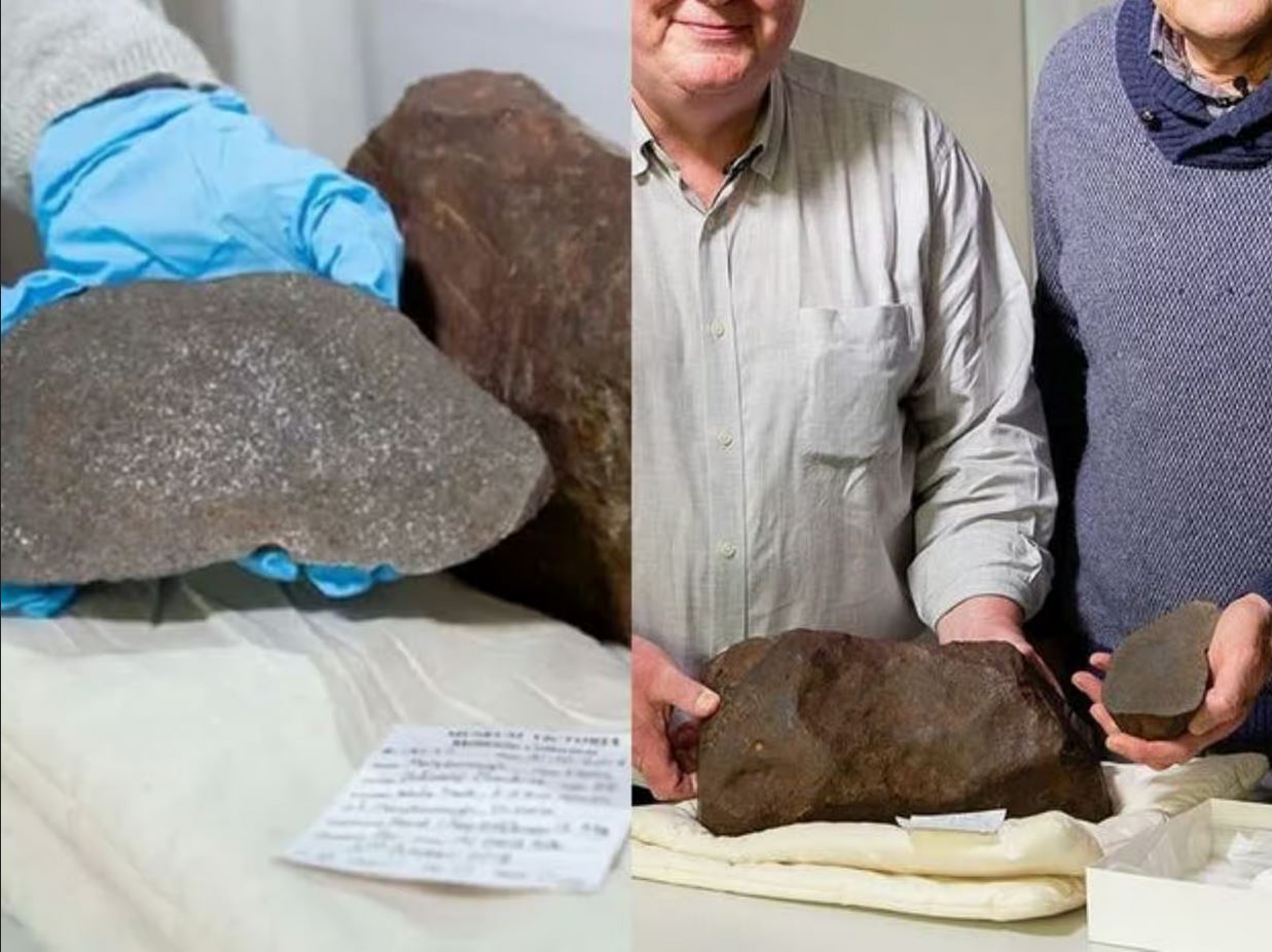 Météorite mise au jour dans le parc de Maryborough à Melbourne en Australie & vieille de 4,6 milliards d'années.