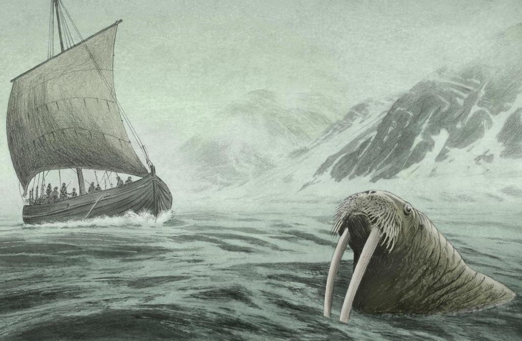 Morse pris en chasse par un drakkar.