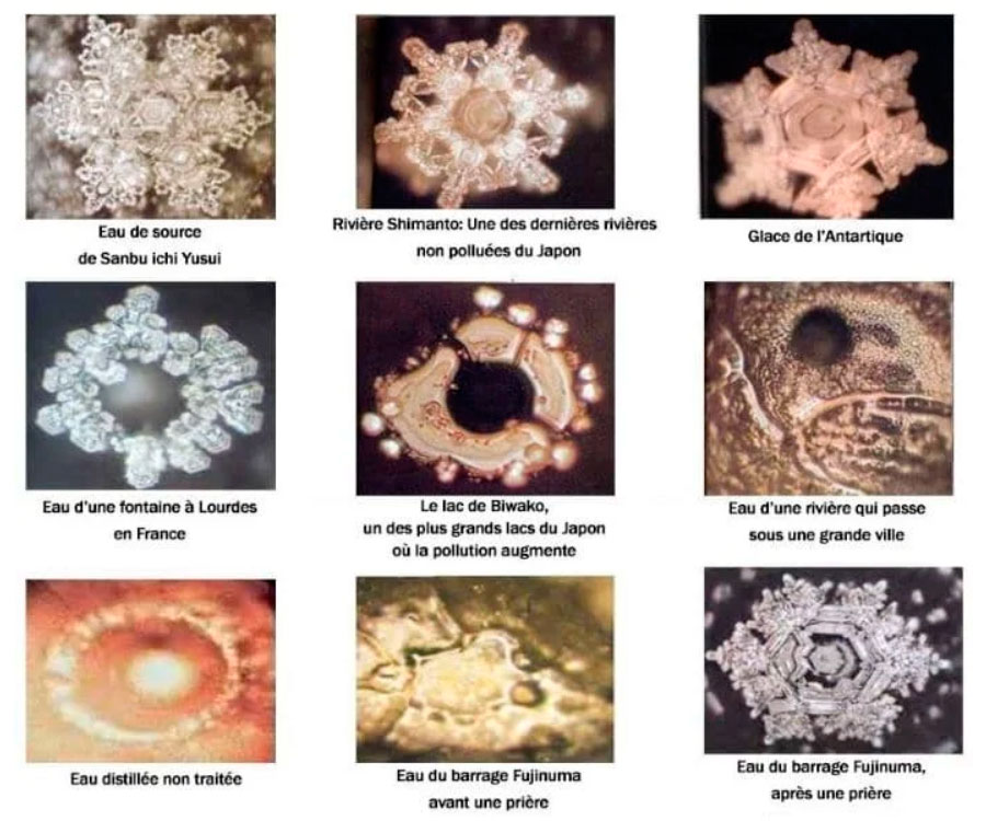Structure de l'eau : Harmonie ou disharmonie.