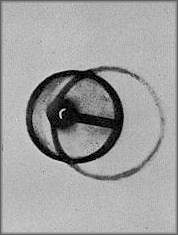 Objet de Coso aux rayons X