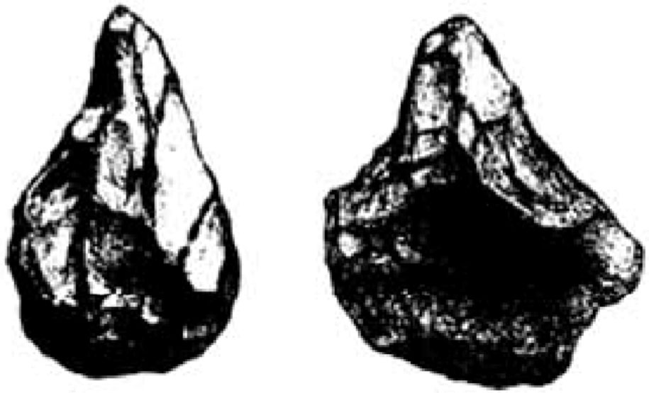 Objets paléolitiques, au formes d'outils ou d'armes, de conception humaine.