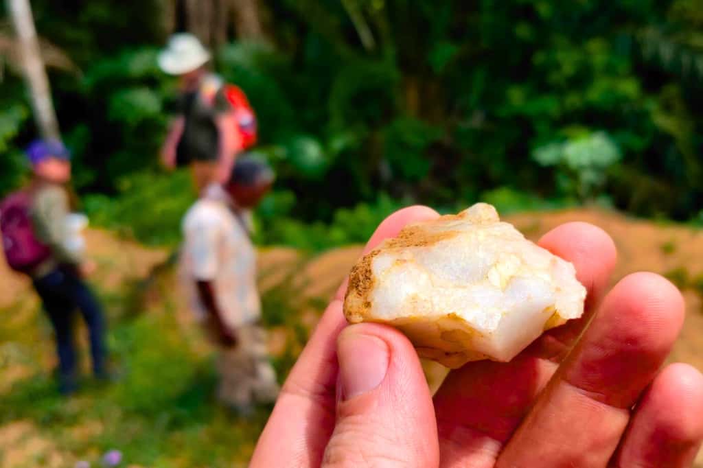 Outil en pierre retrouvé en peine forêt tropicale, en Côte d'Ivoire, vieux de 150 000 ans.