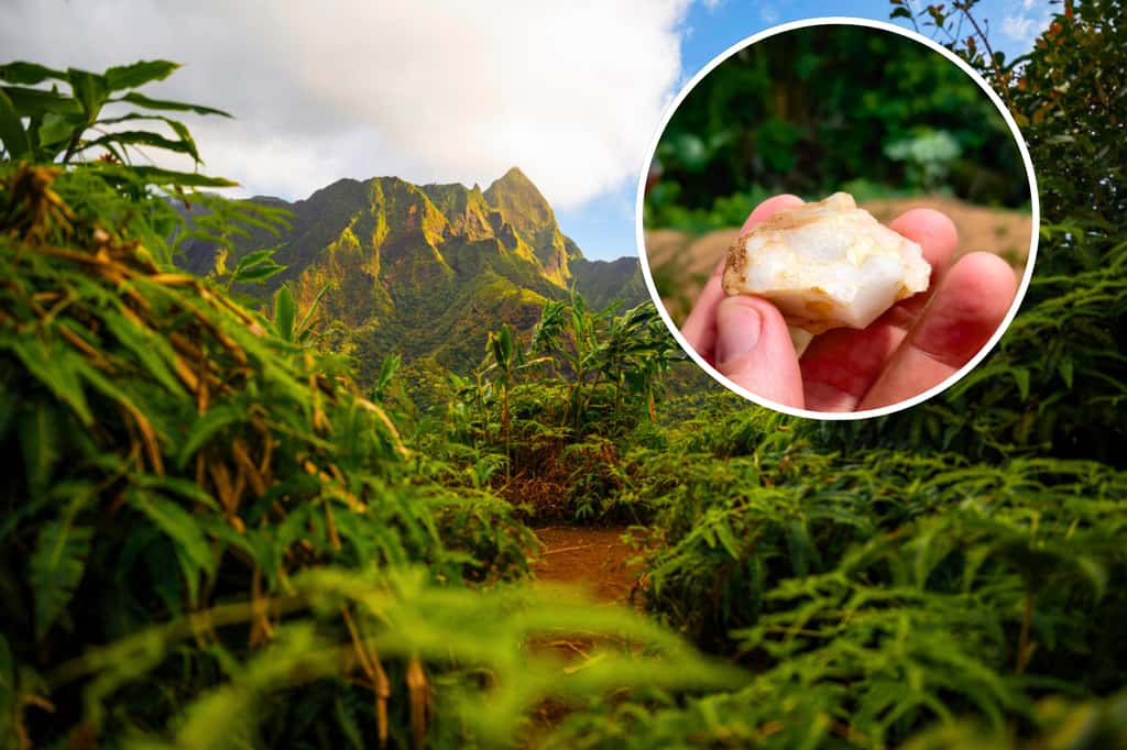 Outil en pierre retrouvé en peine forêt tropicale, en Côte d'Ivoire, vieux de 150 000 ans.