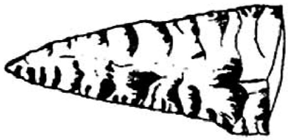 Outil taillé sur deux faces du Canada, il y a 65 à 125 000 ans.