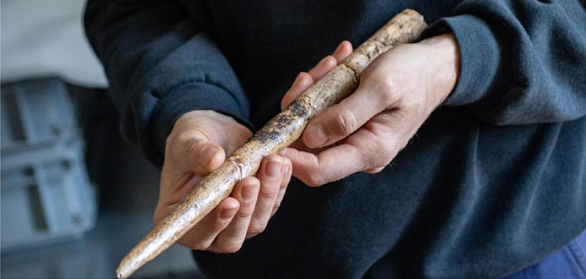 Outils en os de baleine, dans la grotte d'Isturitz dans le golfe de Gascogne (vieux de 22 000 ans ?).