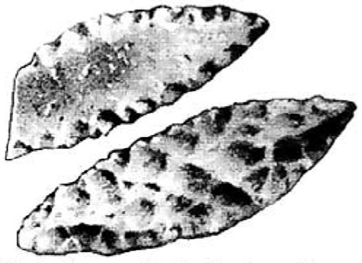 Outils en pierre à Hueyatlaco au Mexique, vieux de 250 000 ans.