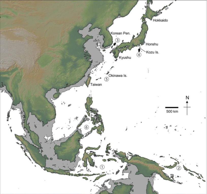 Cinq traversées du Pacifique occidental sont attestées : Wallace en Indonésie orientale (45 000 BC), les archipels de Bismarck et de Salomon (41 000 BC), le détroit de Corée (36 000 BC), l'île de Kozushima (36 000 BC), l'archipel de Ryukyu (33 000 BC), et l'archipel des Philippines.