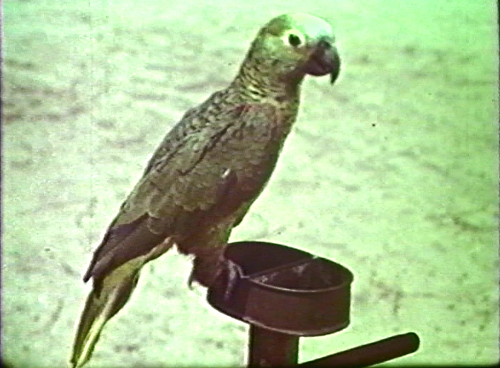 Jacques Bouillault