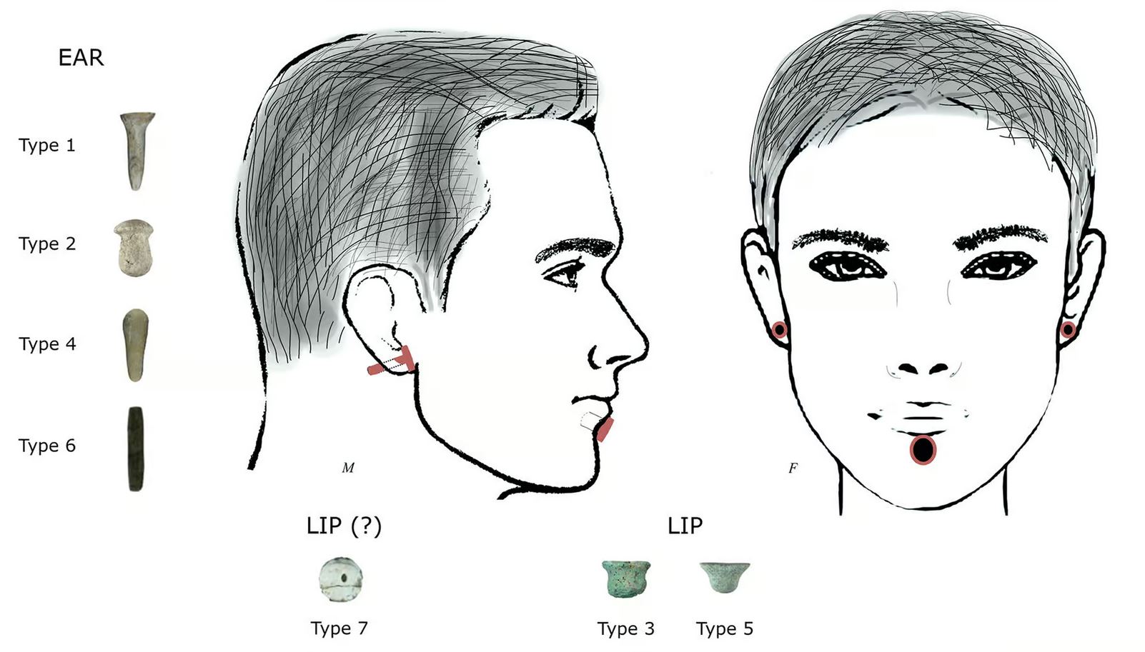 Piercings aux oreilles & lèvres inférieures à Boncuklu Tarla en Turquie, il y a 11 000 ans.