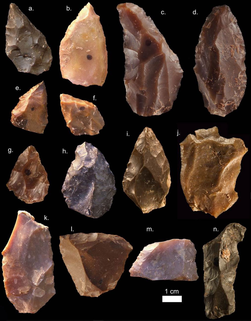 Quatorze fragments de pierres taillées à Nesher Ramla en Israël.
