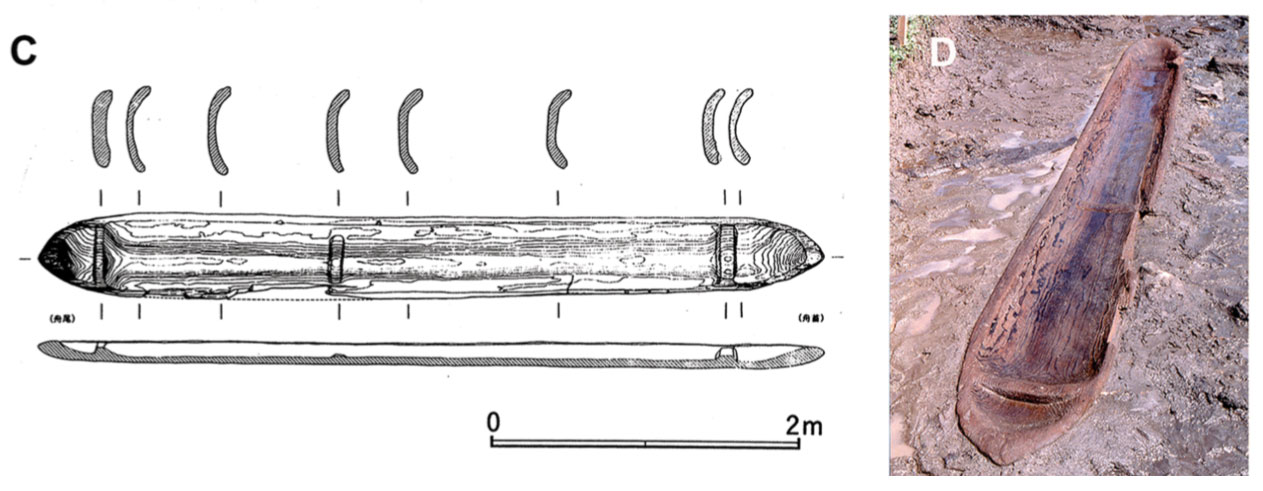 Pirogue (ou logboat) sur le site de Yuri au Japon, lors de la phase finale Jomon, il y a 3 900 ans.