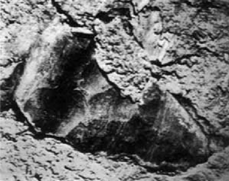 Pointe Folsom à Sandia Cave aux Etats-Unis, vieille de 250 000 ans.