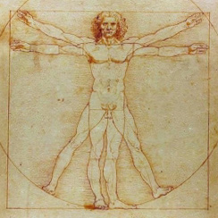 Leonard Da Vinci, Vitruvianan Art