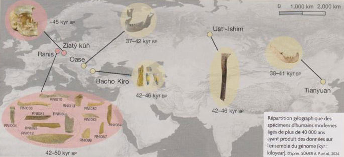 Répartition géographique des spécimens modernes âgés de plus de 40 000 ans.