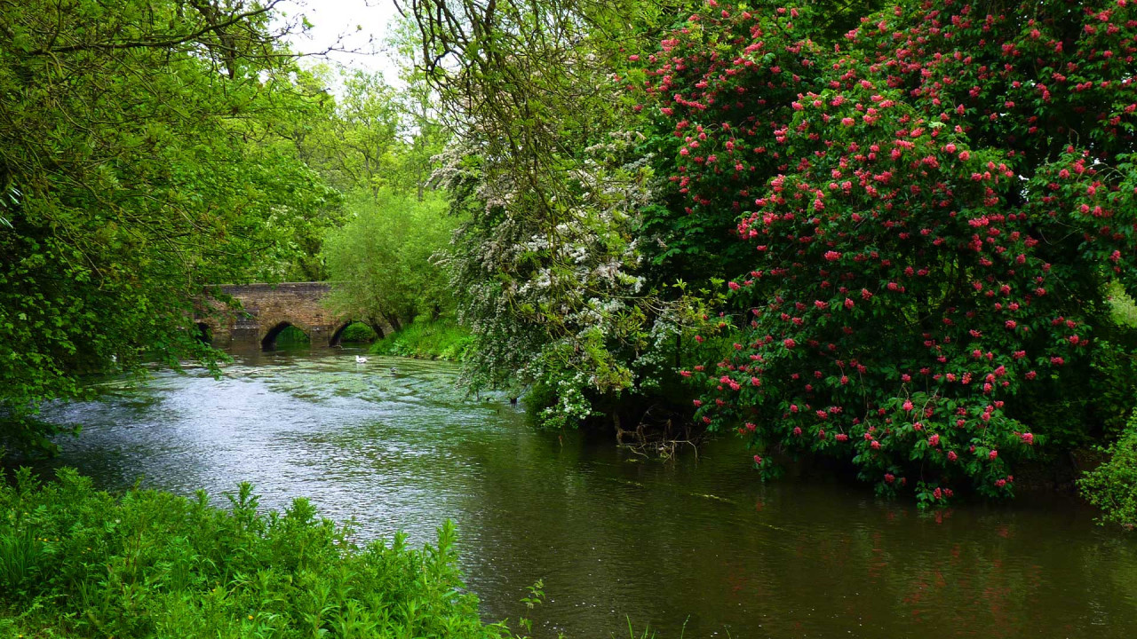 Épée dans une rivière au Royaume-Uni, vieille de 1 200 ans.