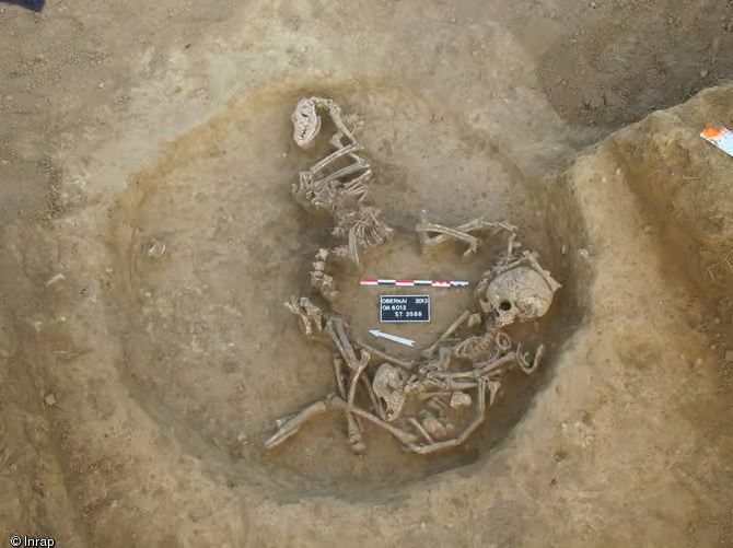 Sépulture, deux enfants & plusieurs chiens au fond d'un silo (450 à 350 ans avant notre ère).
