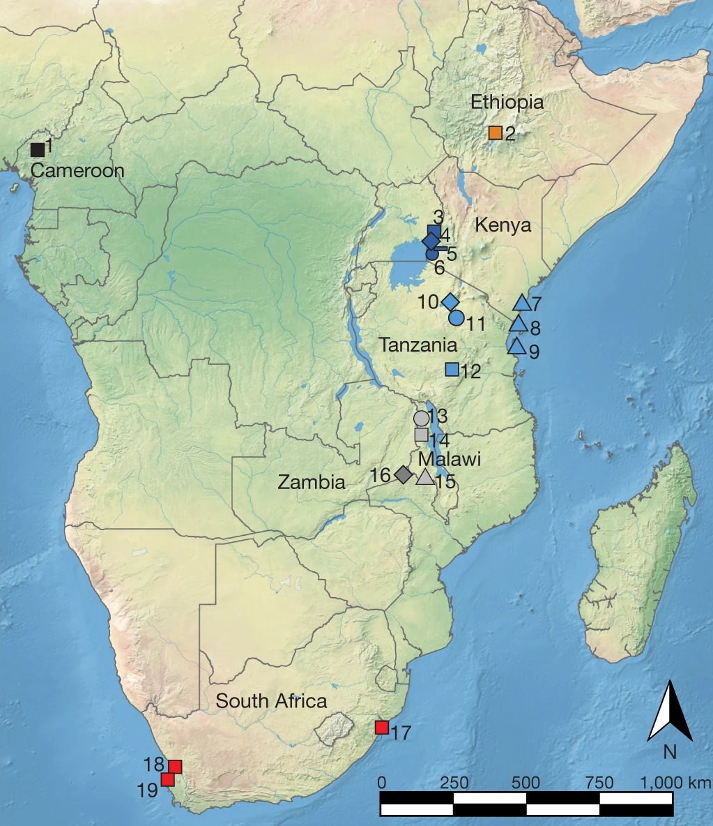 Chasseur-cueilleur en Afrique subsaharienne