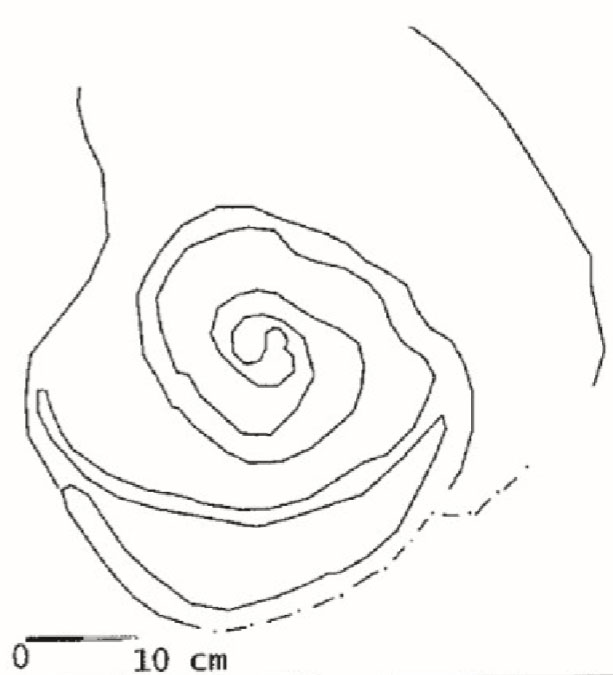 Balenbouche (Sainte-Lucie ; Jonsson Marquet, 2002, p.212, planche 36.