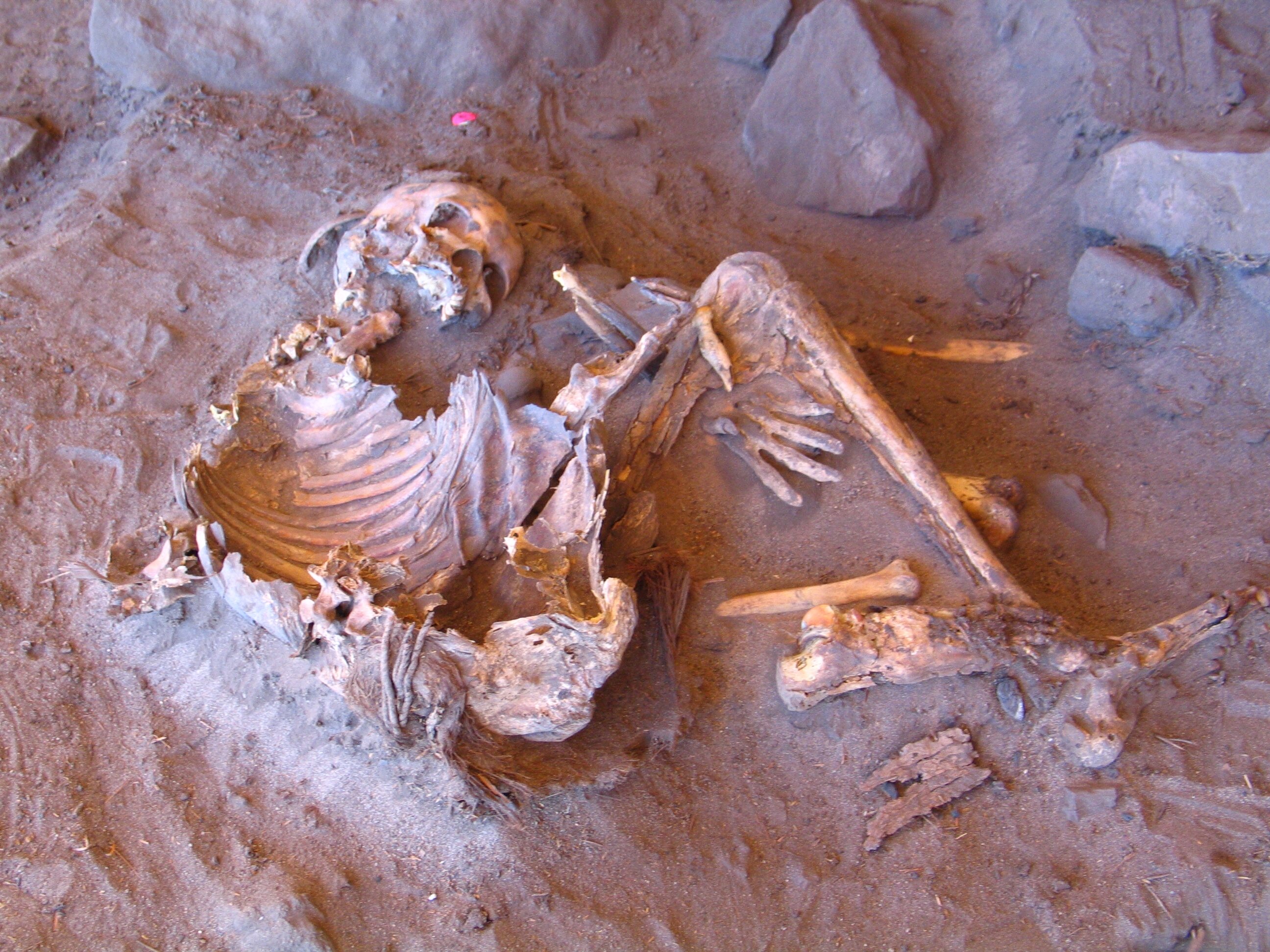 Abri de Takarkori en Libye, il y a 7 000 ans.